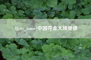 内江中国夺金大项是谁
