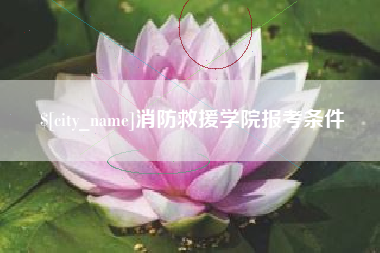 内江消防救援学院报考条件
