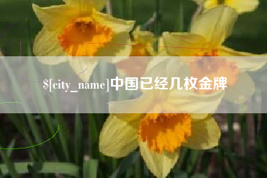 内江中国已经几枚金牌