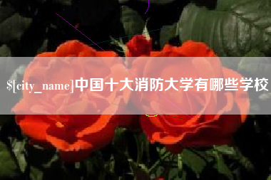 内江中国十大消防大学有哪些学校
