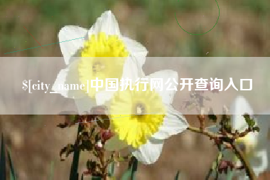 内江中国执行网公开查询入口