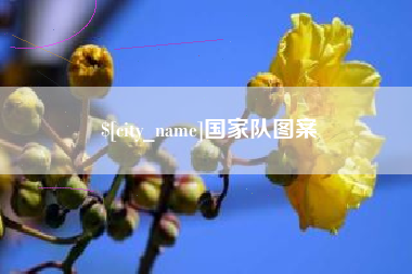 内江国家队图案