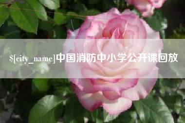 内江中国消防中小学公开课回放