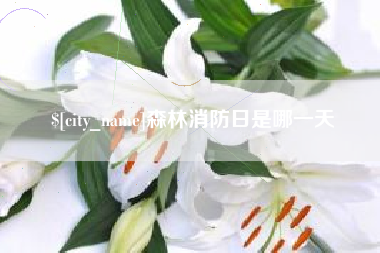 内江森林消防日是哪一天
