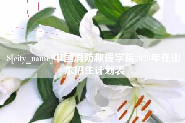 内江中国消防救援学院2020年在山东招生计划表