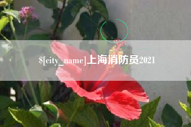 内江上海消防员2021