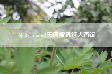 内江失信被执行人杳询