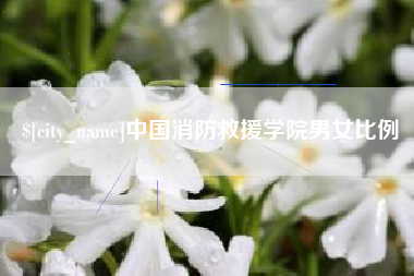 内江中国消防救援学院男女比例