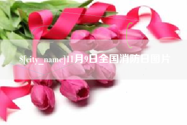 内江11月9日全国消防日图片