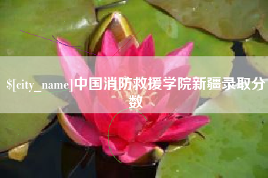 内江中国消防救援学院新疆录取分数