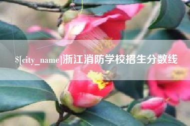 内江浙江消防学校招生分数线