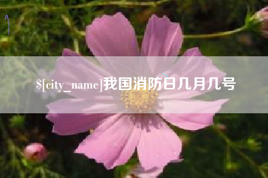 内江我国消防日几月几号