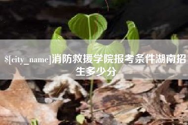 内江消防救援学院报考条件湖南招生多少分
