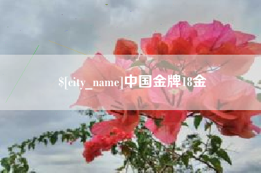 内江中国金牌18金