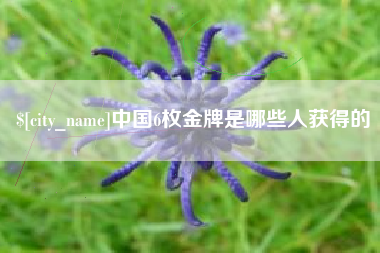 内江中国6枚金牌是哪些人获得的