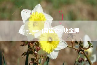 内江奥运会39块金牌