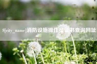 内江消防设施操作员证书查询网址