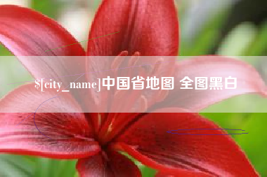 内江中国省地图 全图黑白