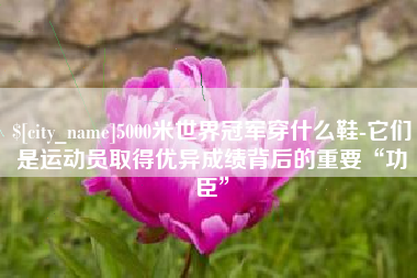 内江5000米世界冠军穿什么鞋-它们是运动员取得优异成绩背后的重要“功臣”