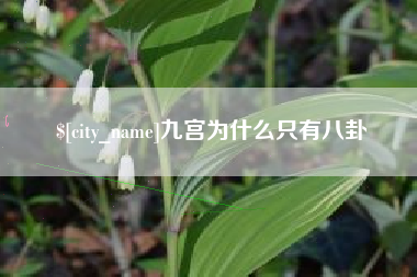内江九宫为什么只有八卦