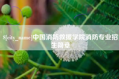 内江中国消防救援学院消防专业招生简章