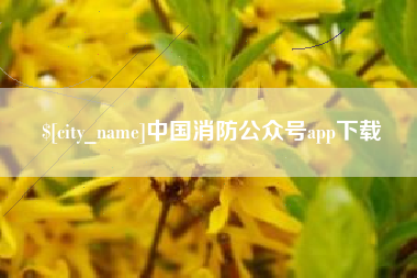 内江中国消防公众号app下载
