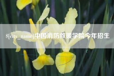 内江中国消防救援学院今年招生