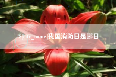 内江我国消防日是哪日
