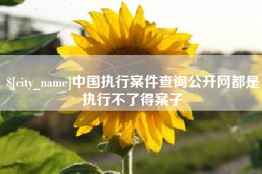 内江中国执行案件查询公开网都是执行不了得案子