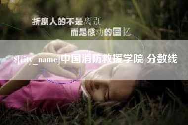 内江中国消防救援学院 分数线