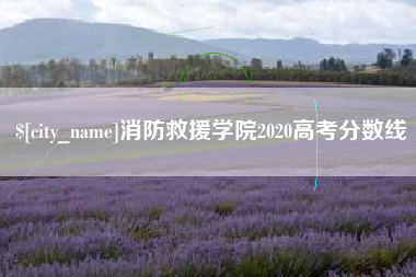 内江消防救援学院2020高考分数线