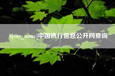 内江中国执行信息公开网查询