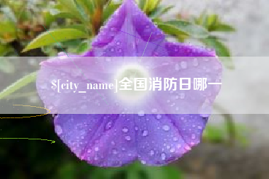 内江全国消防日哪一