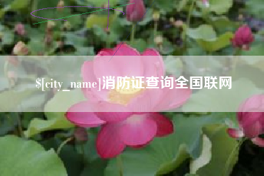 内江消防证查询全国联网