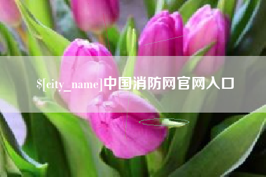 内江中国消防网官网入口