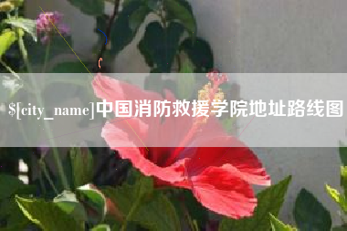 内江中国消防救援学院地址路线图