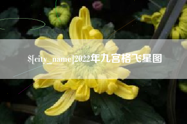 内江2022年九宫格飞星图