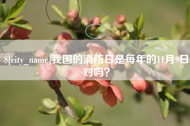 内江我国的消防日是每年的11月9日对吗？