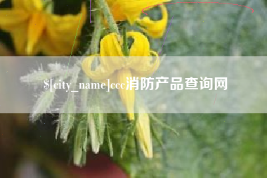内江ccc消防产品查询网