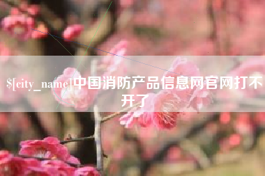 内江中国消防产品信息网官网打不开了