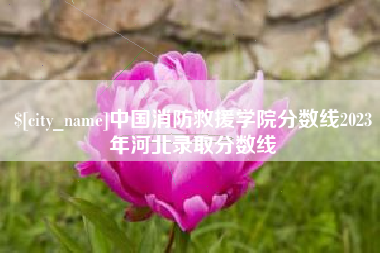 内江中国消防救援学院分数线2023年河北录取分数线