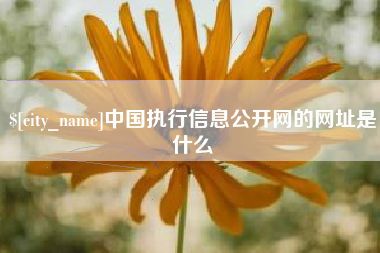 内江中国执行信息公开网的网址是什么