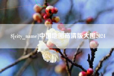 内江中国地图高清版大图2024