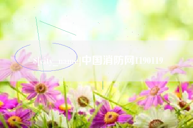 内江中国消防网1190119