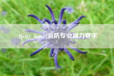内江消防专业视力要求