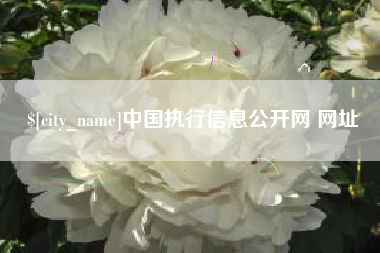 内江中国执行信息公开网 网址