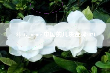 内江中国的几块金牌2021