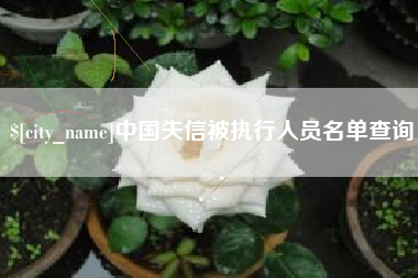 内江中国失信被执行人员名单查询
