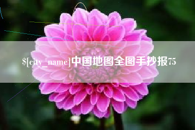 内江中国地图全图手抄报75