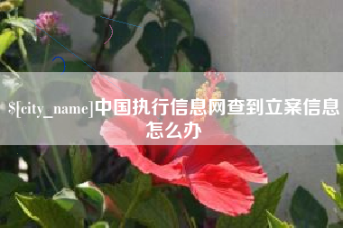 内江中国执行信息网查到立案信息怎么办